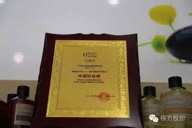 科技引領(lǐng)美麗▏棟方股份榮獲“中國好品牌獎”！
